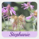 Search for floral nature stickers Blossoms