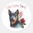 Search for kelpie gift wrap Puppy
