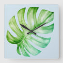 Search for leaf wall Monstera