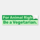 Search for peta bumper stickers Veggie