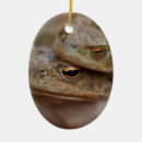 Search for tree toad Cute