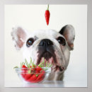 Search for group of animals posters Puppy
