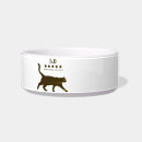 Search for feeder Cat