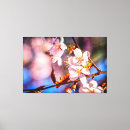 Search for blossom canvas prints Nature