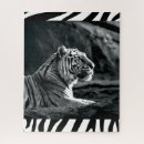 Search for white tiger puzzles Wildlife