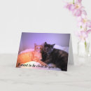 Search for closed cards Cat