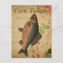 Search for vintage fish postcards Carte postale