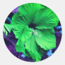 Search for hibiscus flower stickers Summer