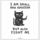 Search for homosexual flag stickers Lesbian