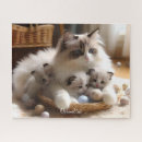 Search for ragdoll cats puzzles Cat lover