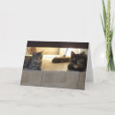 Search for cute pets invitations Kitty