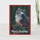 Search for grey cat christmas cards Cats