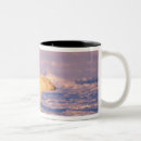 Search for sow mugs Behaviour