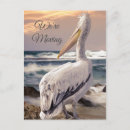 Search for pelican invitations Coastal