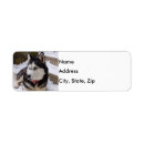 Search for resting return address labels Dog