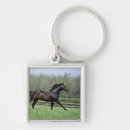 Search for thoroughbred horse key rings Running