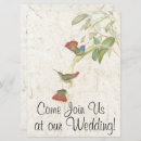 Search for hummingbird wedding invitations Wildlife