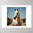 Search for texas office supplies Horse