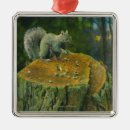 Search for state christmas tree decorations Maine