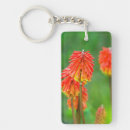 Search for western key rings Nature