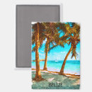 Search for belise magnets Tropical