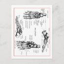 Search for human bones postcards Feet