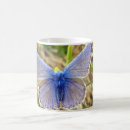 Search for colourful bug mugs Nature