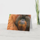 Search for borneo cards Primates