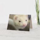 Search for ferret cards Pet