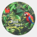 Search for macaw parrot stickers Tropical bird