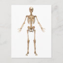Search for ribbed postcards Three dimensional