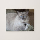 Search for ragdoll cats puzzles Animal