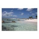 Search for maya posters Island