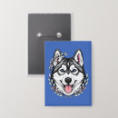Search for sled badges Dog