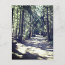 Search for forest path postcards Woods