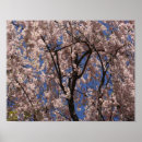 Search for pink umbrella art Blue