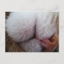 Search for extreme postcards Extreme close up