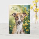 Search for greyhound birthday cards Pets