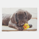 Search for labrador tea towels Cute