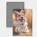 Search for memory image magnets For her