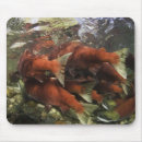 Search for vitality mousepads Nature