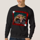 Search for king crab Crabby