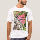 Search for michaelangelo Pieta