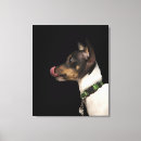 Search for rat art Dog