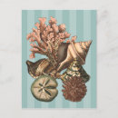 Search for coral reef life postcards Sea