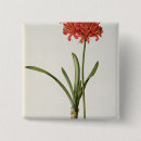 Search for redoute badges Lily