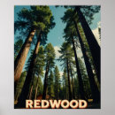Search for rainforest art Retro travel