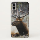 Search for deer cases Animal