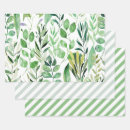 Search for green stripe wrapping paper Nature