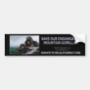 Search for endangered animals bumper stickers Mtn gorilla
